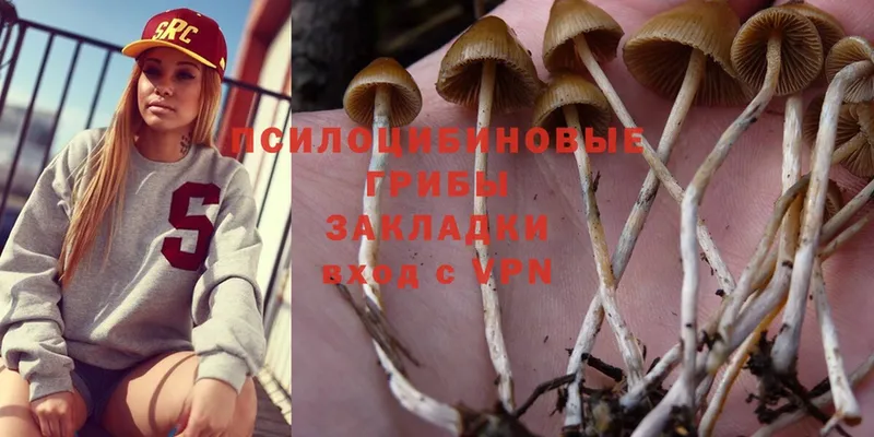 МЕГА ссылки  Поронайск  Галлюциногенные грибы Magic Shrooms 